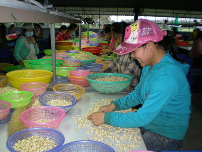 Góp phần nâng cao quyền lợi của người lao động