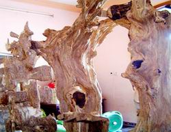 Từ 4-8-2011, miễn thuế xuất khẩu trầm hương nhân tạo