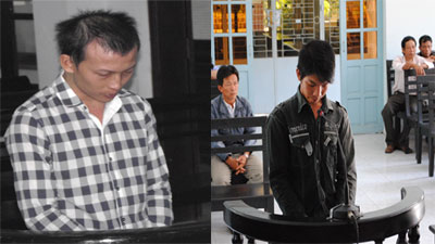 Các “đạo chích” lĩnh án