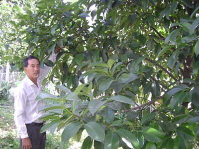 Cho hiệu quả kinh tế gấp đôi