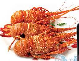 Món ăn: Tôm hùm luộc