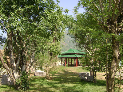 “Ông thầy” của hoa viên