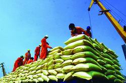 Hỗ trợ phí bảo hiểm của hợp đồng bảo hiểm tín dụng xuất khẩu