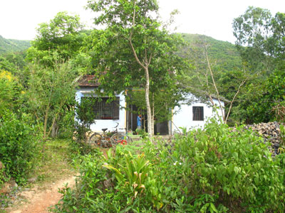 Mệt mỏi vì… hầu tòa