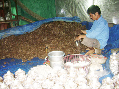 Cần tháo gỡ khó khăn về vốn