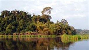 Thêm một khu dự trữ sinh quyển thế giới ở Việt Nam