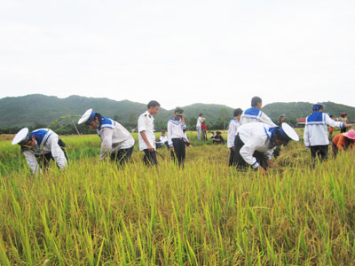 Mô hình hay cần phát huy