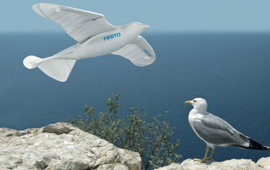 Robot SmartBird có hình dáng mô phỏng của chim hải âu.