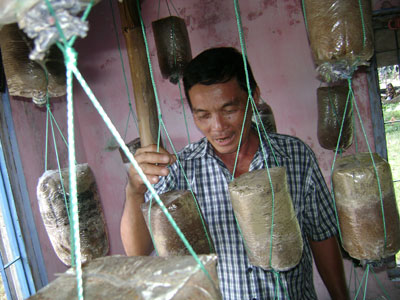 Những người “vác tù và hàng tổng”