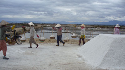 Sản lượng muối giảm 50%