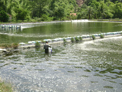 Tạo đột phá trong năng suất