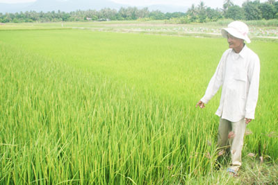 Hiệu quả từ một chủ trương đúng đắn