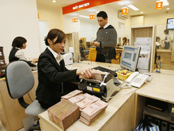 Đẩy mạnh cho vay phục vụ sản xuất lương thực, thực phẩm