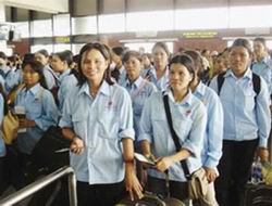 Triển khai hỗ trợ lao động đi làm việc ở nước ngoài theo hợp đồng 2011