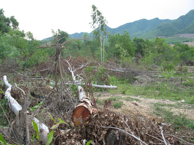 Chặt keo… đòi đất