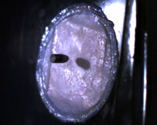 Da nhân tạo chống đạn