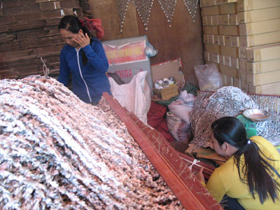 Hiệu quả từ chương trình cho vay vốn, giúp phụ nữ phát triển kinh tế