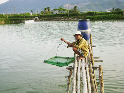 Hiệu quả rõ rệt