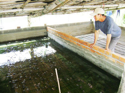 Điểm sáng trong phong trào dạy nghề cho nông dân