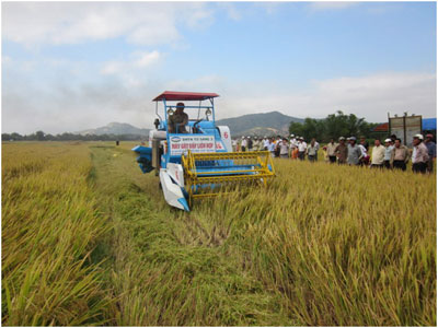 Máy gặt đập liên hợp: Liên tục phát triển