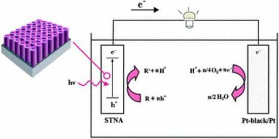 Nghiên cứu mới này sẽ mang lại hiệu quả lớn cho người sử dụng. (Ảnh: Physorg)