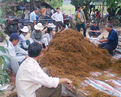 Hướng đi mở cho lao động nông thôn