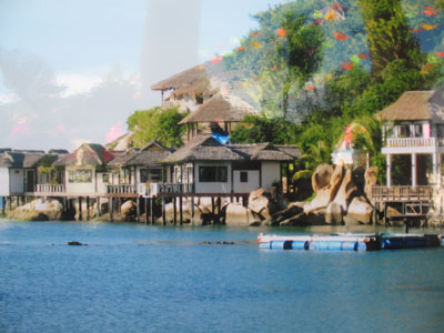 TP. Cam Ranh - Đô thị trẻ mang tầm vóc mới