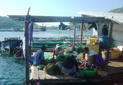 Sản lượng nuôi trồng thủy sản đạt 14.870 tấn