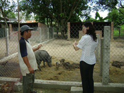 Đầu tư ít, hiệu quả cao