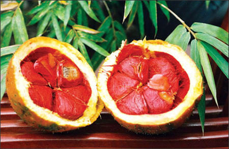 Mách bạn: Ăn gấc trẻ lâu