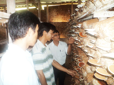 Cơ hội hoàn vốn nhanh