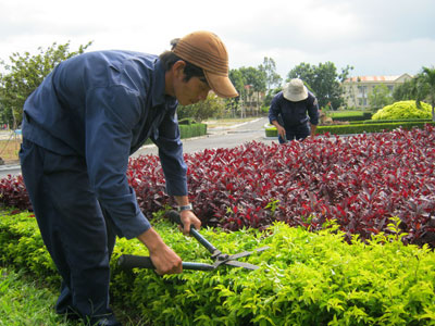 Những nỗ lực cho một thành phố xanh - sạch - đẹp