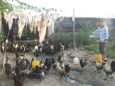 Hướng tới xây dựng vùng chuyên canh đặc trưng