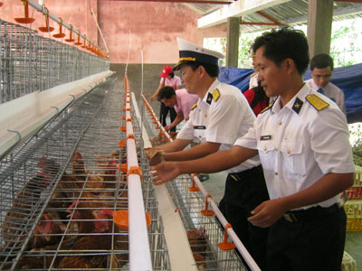 Tiếp nhận trại gà đẻ trứng thương phẩm 500 con cho bộ đội Trường Sa