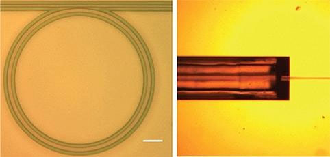 Chế tạo thiết bị chuyển đổi ánh sáng la-ze thành tín hiệu tần số
