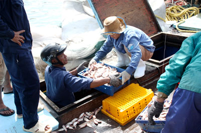 Tập huấn phương pháp bảo quản hải sản mới