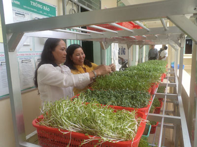 Bế giảng lớp tập huấn IPM trên rau mầm