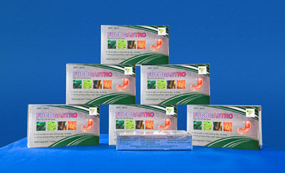 Sẽ hướng đến quy mô công nghiệp