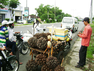 Quả dừa nước lần đầu ra phố biển
