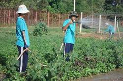 Miễn tiền sử dụng đất nông nghiệp đối với cơ sở cai nghiện ma túy