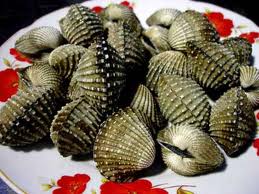 Sò huyết bổ ngũ tạng