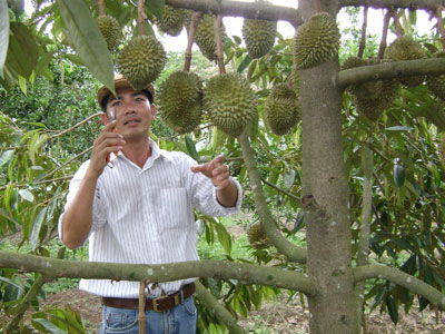 Sức lan tỏa lớn