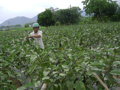 Làm gì để tăng trưởng nguồn vốn?