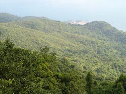 Quản lý hệ thống rừng đặc dụng