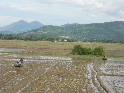 Triển khai sản xuất lúa Đông Xuân 2011-2012: Nhiều thuận lợi