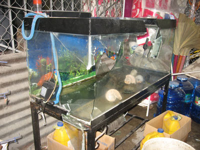 Truy xét nhóm côn đồ chém người, cướp tài sản