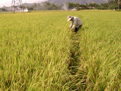 Một năm thuận lợi