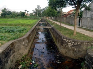 Năm 2012, xử lý triệt để các cơ sở gây ô nhiễm