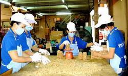 Đến 2015, 70% người sản xuất, chế biến, kinh doanh thực phẩm thực hành đúng về an toàn thực phẩm - Ảnh minh họa.