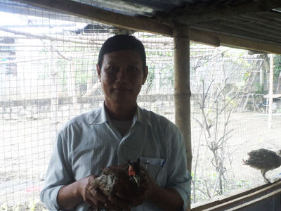 Chim trĩ rất giàu dinh dưỡng, được sử dụng như một vị thuốc trong y học cổ truyền, có tác dụng bổ trung ích khí, bổ gan thận, chủ trì tỳ vị hư yếu, kém ăn...